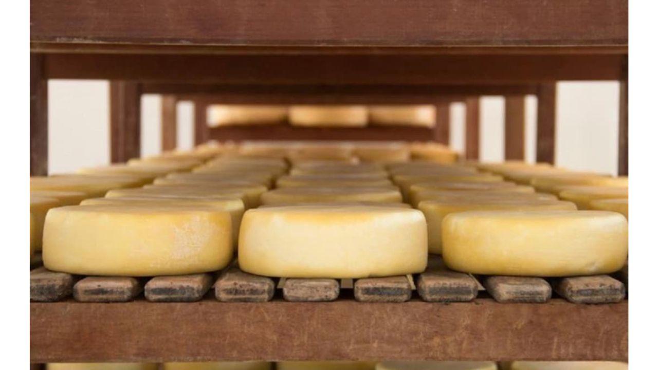 Governo de MT regulamenta normas para manipulação e beneficiamento de produtos alimentícios