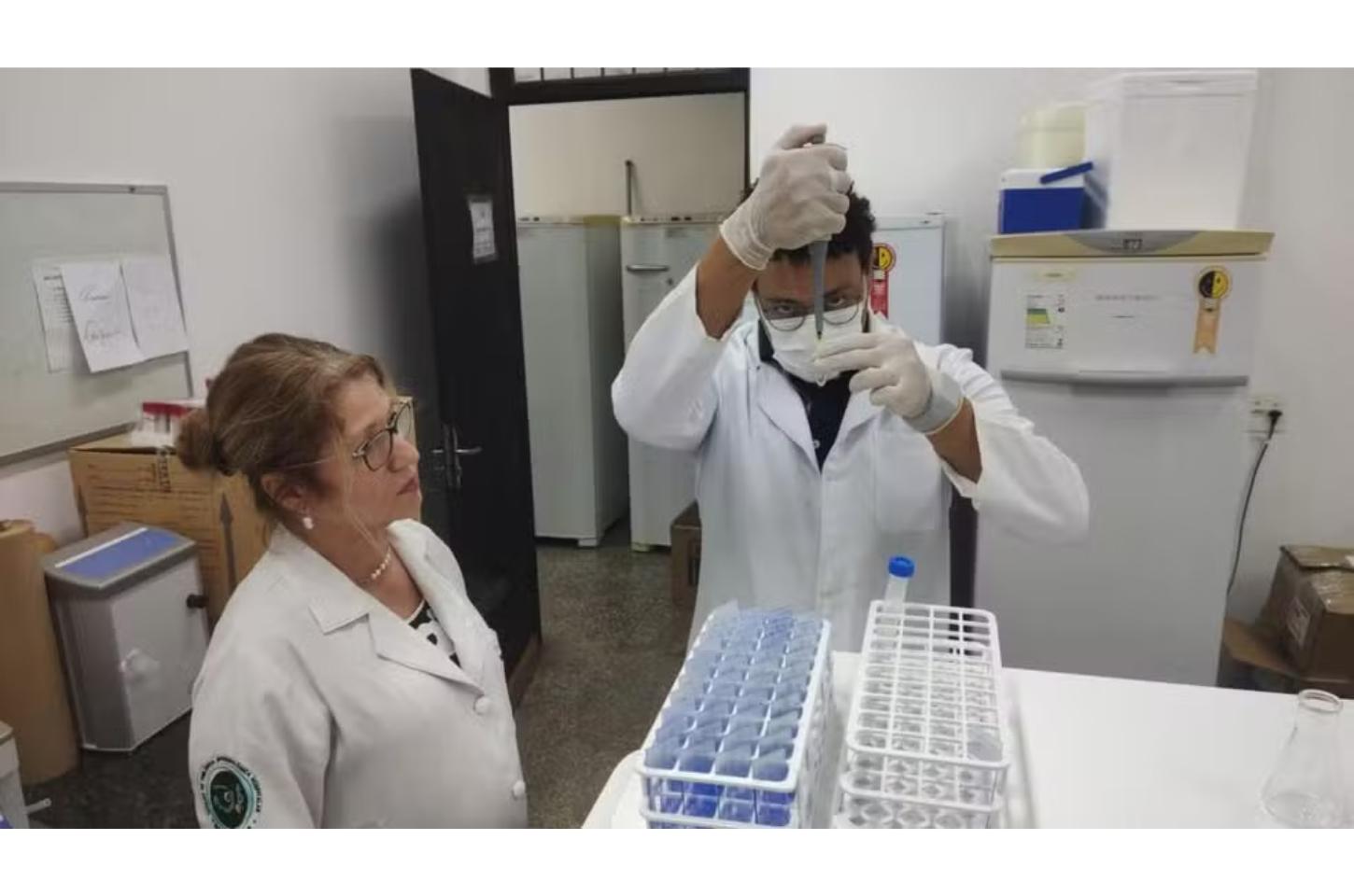 Fungo que causa doença grave em trabalhadores rurais e garimpeiros é descoberto por pesquisadores da UFMT