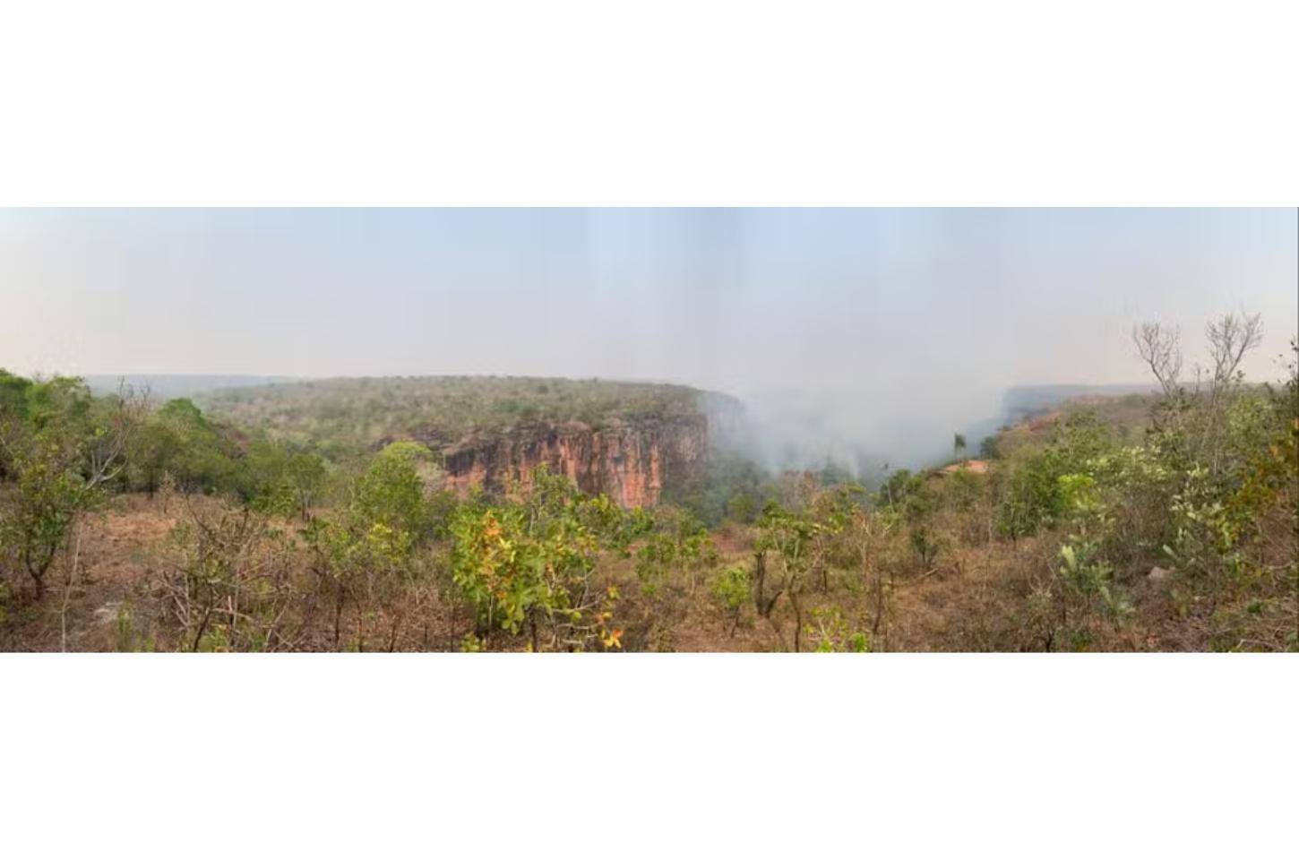 Período proibitivo de queimadas em MT terá prazos distintos para Amazônia, Cerrado e Pantanal em 2025; entenda