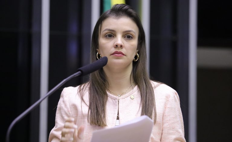 Comissão discute criação do Dia Nacional do Alho Brasileiro