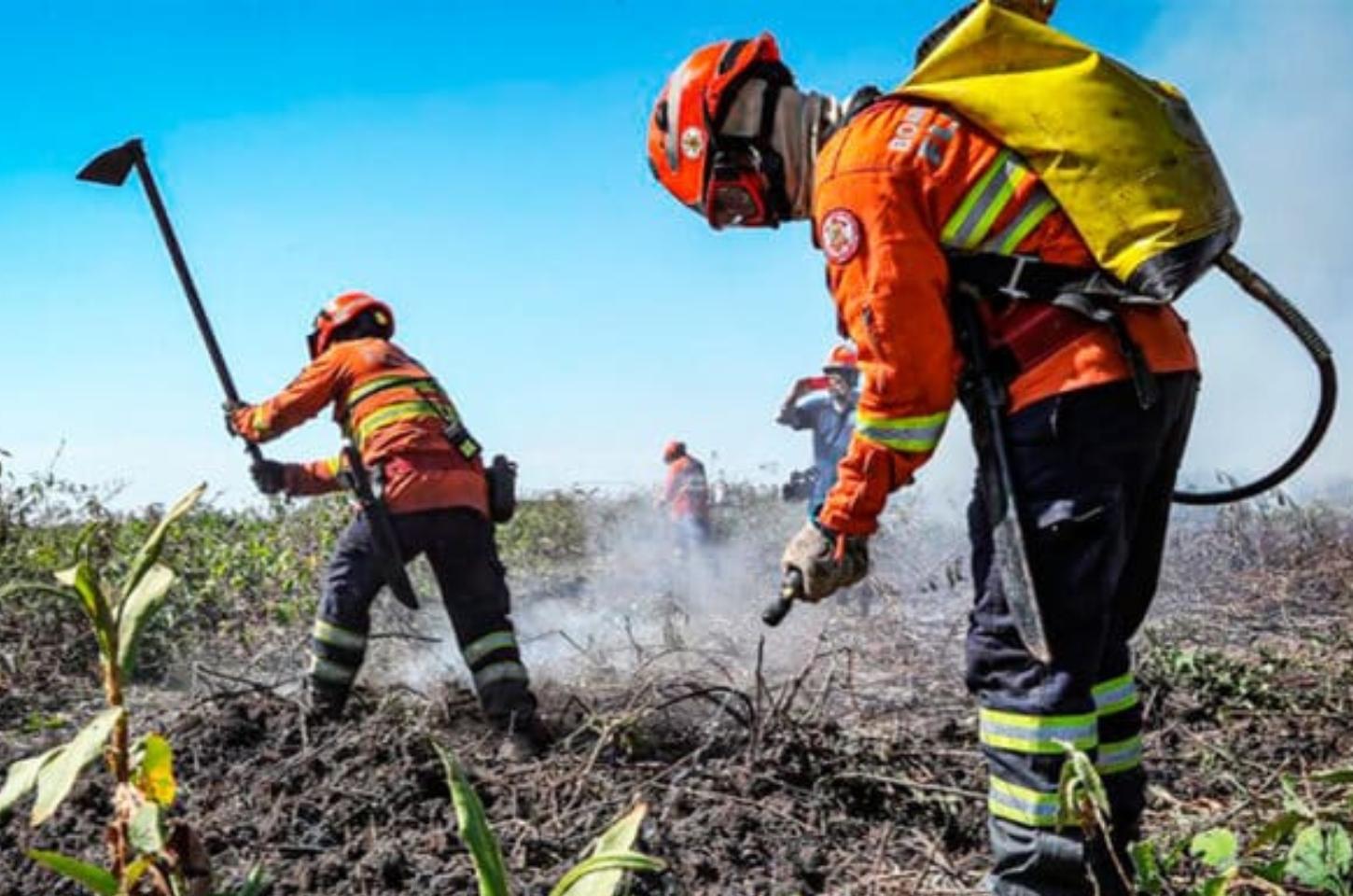 Bombeiros de MT abrem seletivo para brigadistas em Colíder, Guarantã, Juara e mais 22