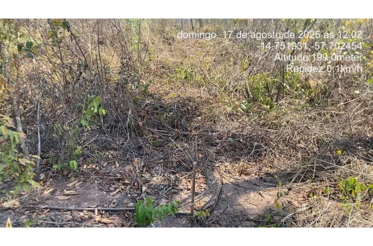 Grupo é preso após invadir reserva ambiental para desmatar e vender terrenos em MT
