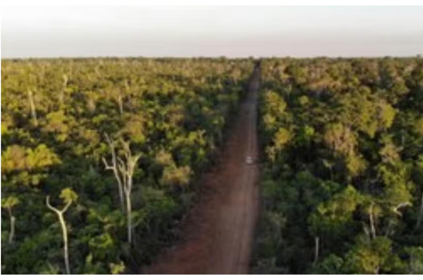 MPF investiga construção de estrada dentro da Terra Indígena Parque do Xingu em MT