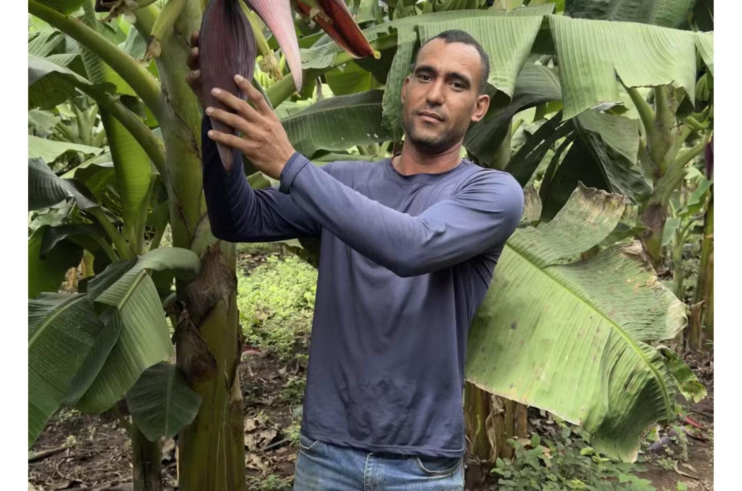 Pequenos agricultores da Amazônia Legal podem receber até R$ 28 mil por ações de preservação ambiental