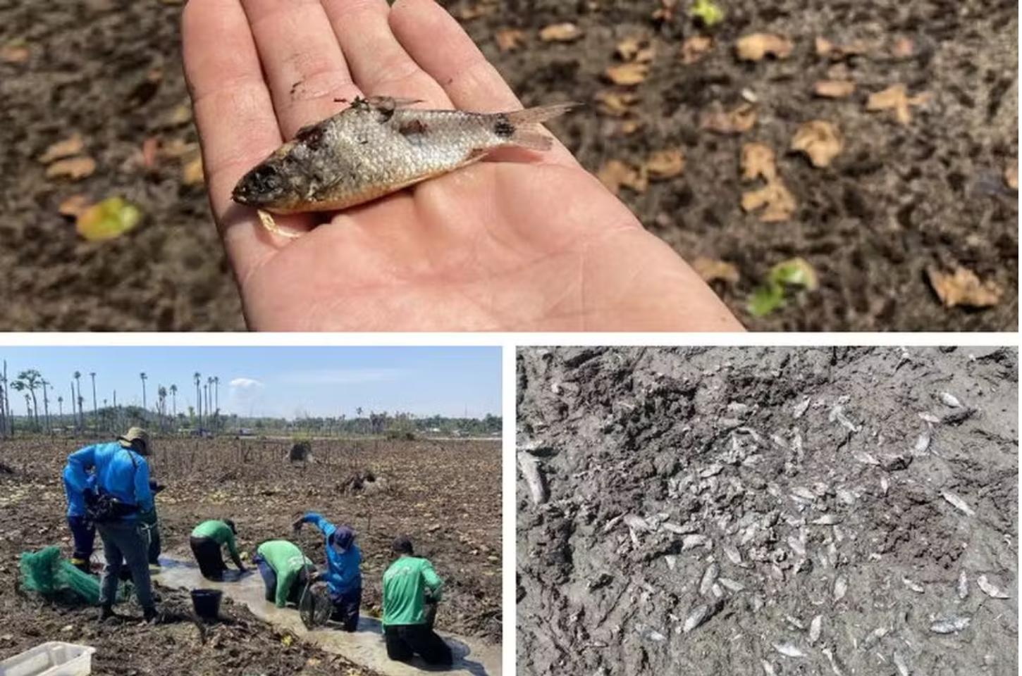 Relatório aponta risco estrutural e ambiental em usina de Colíder (MT) após falhas em barragem