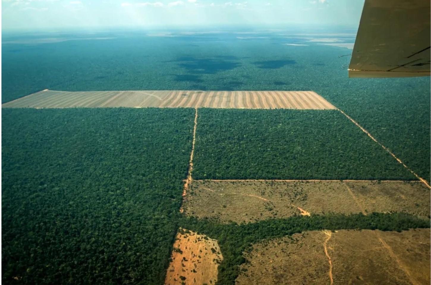 MT é o estado com maior número de registros de violência no campo, aponta CPT