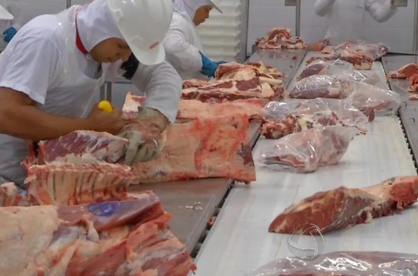 Doze municípios de MT estão entre as 100 que mais exportaram no Brasil em 2025