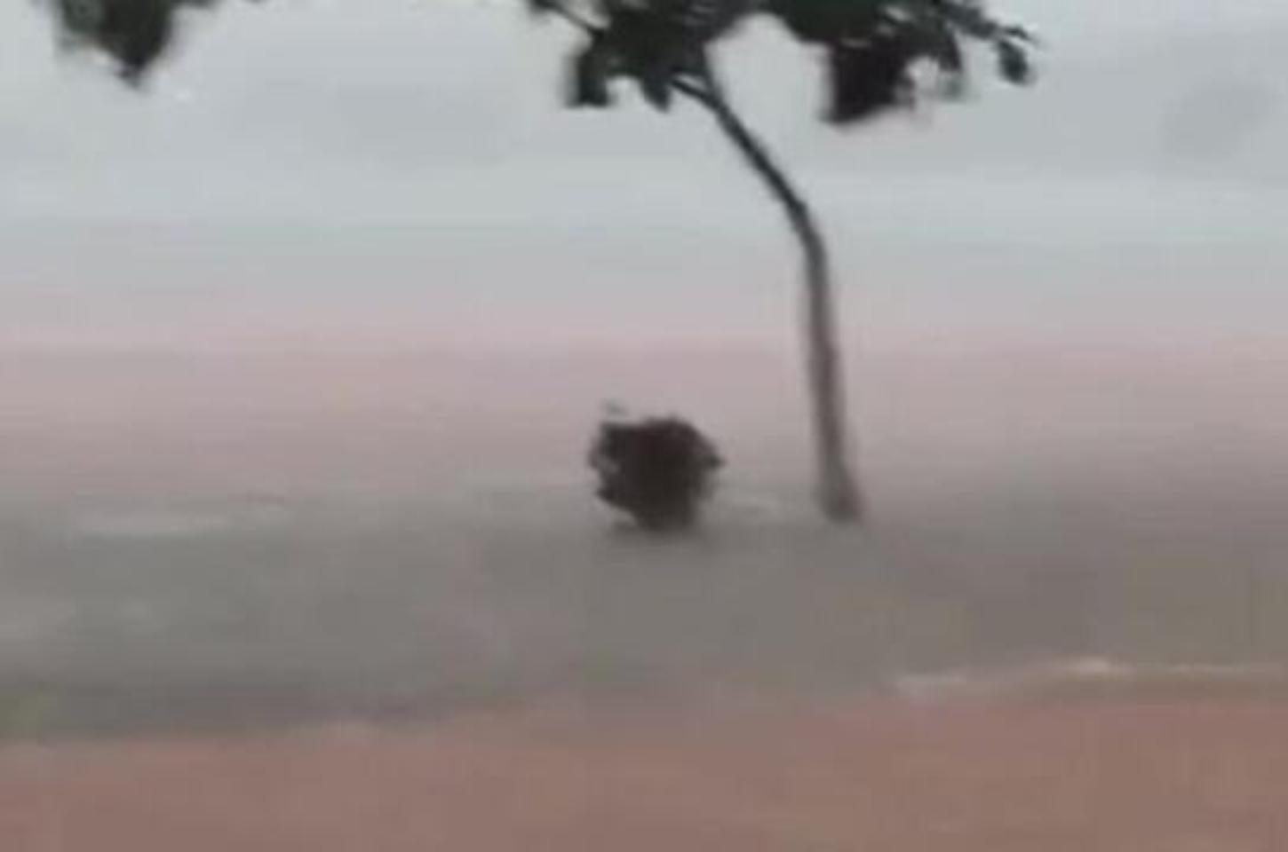 Prefeitura de Matupá decreta situação de emergência após enchente atingir mais de 20 casas