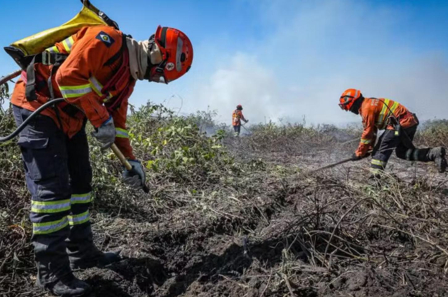 Mato Grosso decreta emergência ambiental e proíbe uso do fogo até novembro